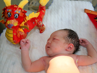 A newborn ''dragon baby'' is posing for a photo with a stuffed animal related to the dragon element at the maternity department of Zaozhuang...