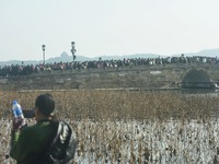 People are crowding on the broken West Lake Bridge in Hangzhou, Zhejiang Province, China, on February 11, 2024. (