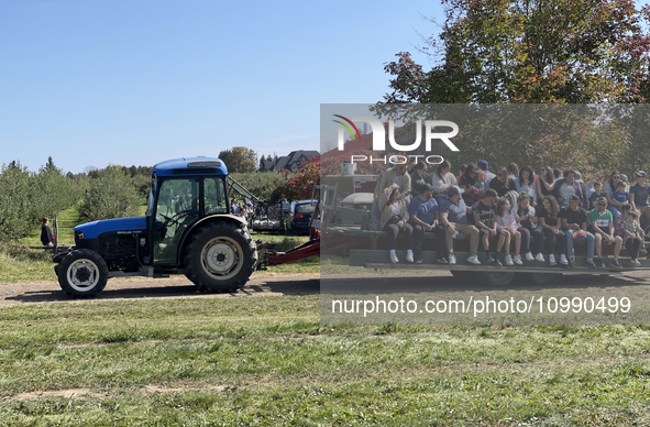 People are taking a wagon ride to an apple orchard for apple picking in Stouffville, Ontario, Canada, on September 24, 2023. 