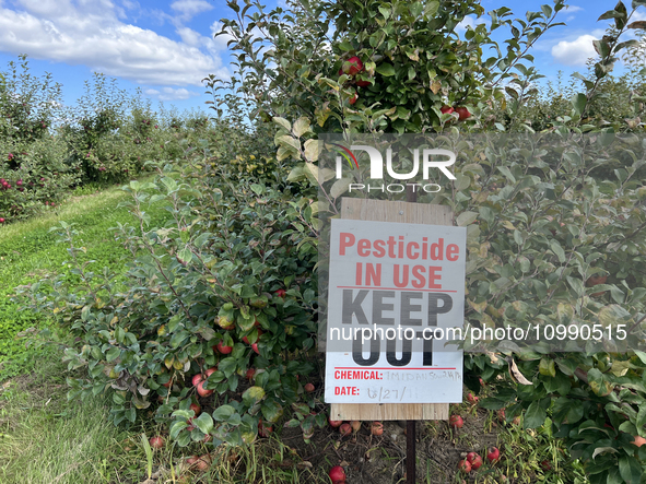 A sign is warning of pesticide use on apple trees at an apple orchard in Stouffville, Ontario, Canada, on September 24, 2023. 