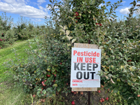 A sign is warning of pesticide use on apple trees at an apple orchard in Stouffville, Ontario, Canada, on September 24, 2023. (