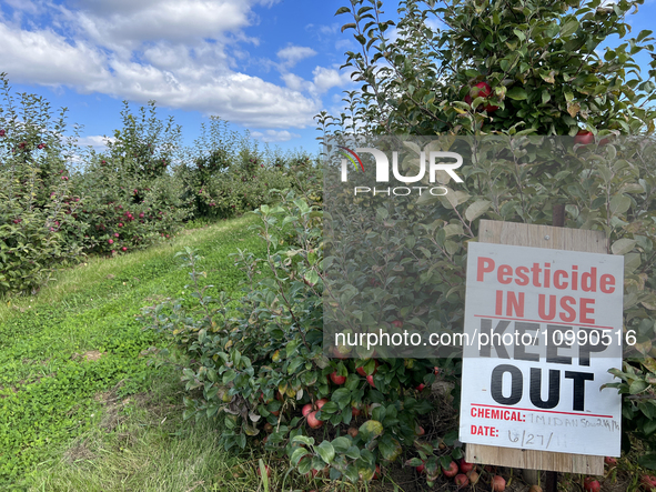 A sign is warning of pesticide use on apple trees at an apple orchard in Stouffville, Ontario, Canada, on September 24, 2023. 