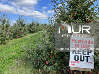 A sign is warning of pesticide use on apple trees at an apple orchard in Stouffville, Ontario, Canada, on September 24, 2023. (