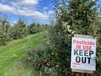 A sign is warning of pesticide use on apple trees at an apple orchard in Stouffville, Ontario, Canada, on September 24, 2023. (