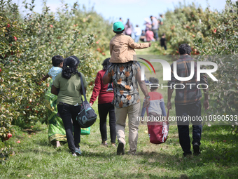 People are carrying bags of freshly picked apples as they walk through an apple orchard in Stouffville, Ontario, Canada, on September 24, 20...