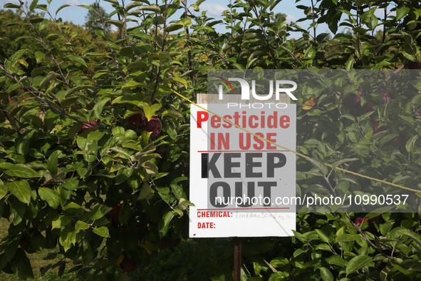 A sign is warning of pesticide use on apple trees at an apple orchard in Stouffville, Ontario, Canada, on September 24, 2023. 