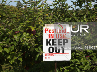 A sign is warning of pesticide use on apple trees at an apple orchard in Stouffville, Ontario, Canada, on September 24, 2023. (