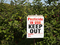 A sign is warning of pesticide use on apple trees at an apple orchard in Stouffville, Ontario, Canada, on September 24, 2023. (