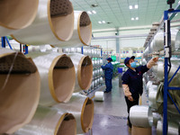 A female worker is inspecting an automated production line at the production workshop of a glass fiber company in Chongqing, China, on Febru...