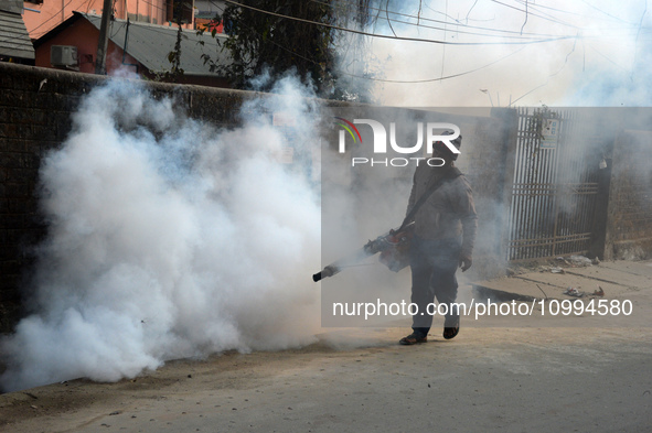 A municipal worker is fumigating a residential area as a preventive measure against disease-carrying mosquitoes and fleas in Siliguri, India...