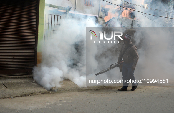 A municipal worker is fumigating a residential area as a preventive measure against disease-carrying mosquitoes and fleas in Siliguri, India...