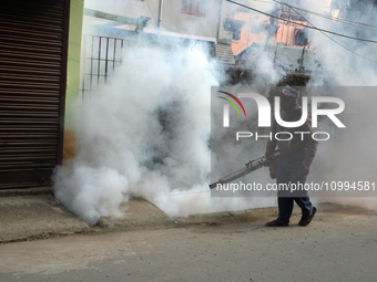 A municipal worker is fumigating a residential area as a preventive measure against disease-carrying mosquitoes and fleas in Siliguri, India...