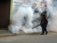 A municipal worker is fumigating a residential area as a preventive measure against disease-carrying mosquitoes and fleas in Siliguri, India...