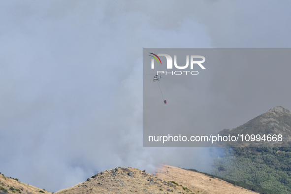 A fire-fighting helicopter is flying over an area of burning vegetation, working to extinguish a wildfire in Christchurch, New Zealand, on F...