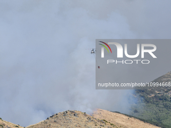 A fire-fighting helicopter is flying over an area of burning vegetation, working to extinguish a wildfire in Christchurch, New Zealand, on F...