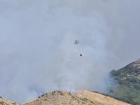 A fire-fighting helicopter is flying over an area of burning vegetation, working to extinguish a wildfire in Christchurch, New Zealand, on F...