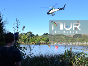 Fire-fighting helicopters are filling up with water at the scene of a fire in Christchurch, New Zealand, on February 14, 2024. A local state...