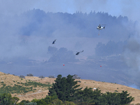 Fire-fighting helicopters are flying over an area of burning vegetation as they work to put out a wildfire in Christchurch, New Zealand, on...