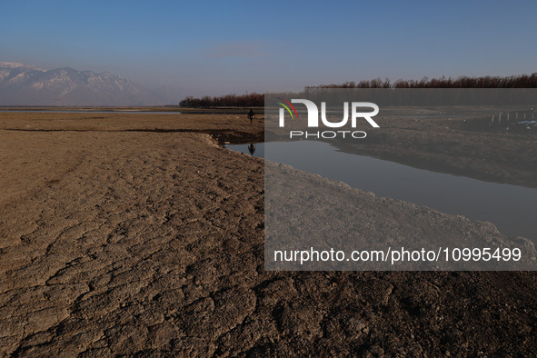 A boy is walking on the dried portion of Wular Lake in the Ningli area of Sopore District, Baramulla, Jammu and Kashmir, India, on February...