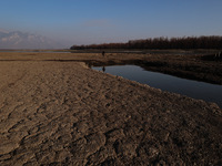 A boy is walking on the dried portion of Wular Lake in the Ningli area of Sopore District, Baramulla, Jammu and Kashmir, India, on February...