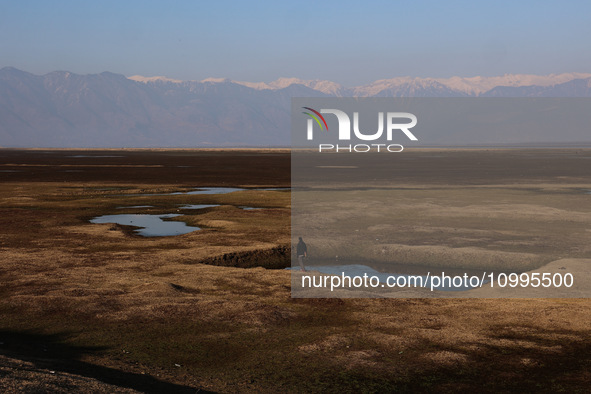 A boy is walking on the dried portion of Wular Lake in the Ningli area of Sopore District, Baramulla, Jammu and Kashmir, India, on February...