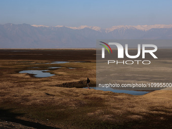 A boy is walking on the dried portion of Wular Lake in the Ningli area of Sopore District, Baramulla, Jammu and Kashmir, India, on February...