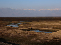 A boy is walking on the dried portion of Wular Lake in the Ningli area of Sopore District, Baramulla, Jammu and Kashmir, India, on February...