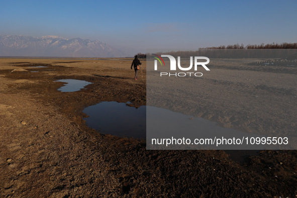 A boy is walking on the dried portion of Wular Lake in the Ningli area of Sopore District, Baramulla, Jammu and Kashmir, India, on February...