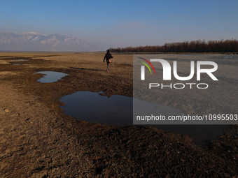 A boy is walking on the dried portion of Wular Lake in the Ningli area of Sopore District, Baramulla, Jammu and Kashmir, India, on February...