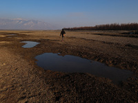 A boy is walking on the dried portion of Wular Lake in the Ningli area of Sopore District, Baramulla, Jammu and Kashmir, India, on February...