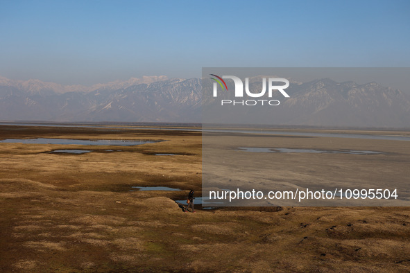 A boy is walking on the dried portion of Wular Lake in the Ningli area of Sopore District, Baramulla, Jammu and Kashmir, India, on February...