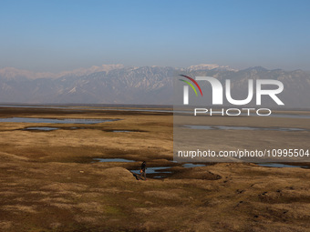 A boy is walking on the dried portion of Wular Lake in the Ningli area of Sopore District, Baramulla, Jammu and Kashmir, India, on February...