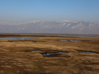 A boy is walking on the dried portion of Wular Lake in the Ningli area of Sopore District, Baramulla, Jammu and Kashmir, India, on February...