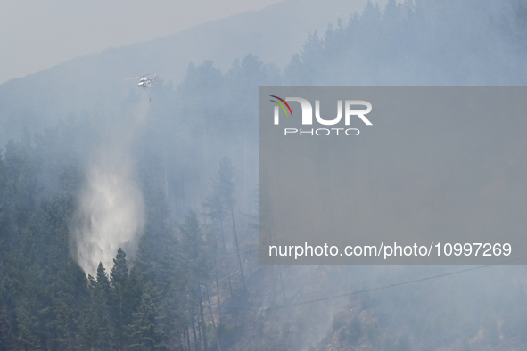 A firefighting helicopter is dropping water to extinguish a wildfire in Port Hills near Christchurch, New Zealand, on February 15, 2024. 