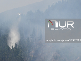 A firefighting helicopter is dropping water to extinguish a wildfire in Port Hills near Christchurch, New Zealand, on February 15, 2024. (