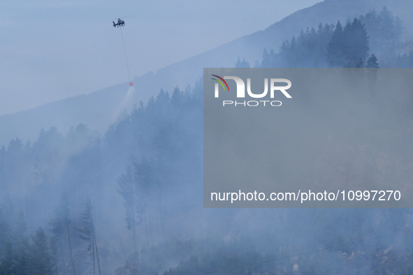 A firefighting helicopter is dropping water to extinguish a wildfire in Port Hills near Christchurch, New Zealand, on February 15, 2024. 