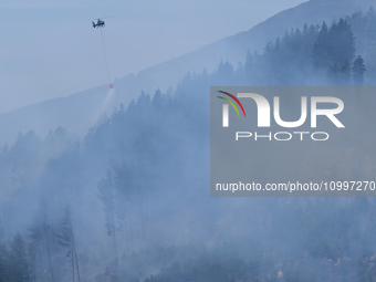 A firefighting helicopter is dropping water to extinguish a wildfire in Port Hills near Christchurch, New Zealand, on February 15, 2024. (