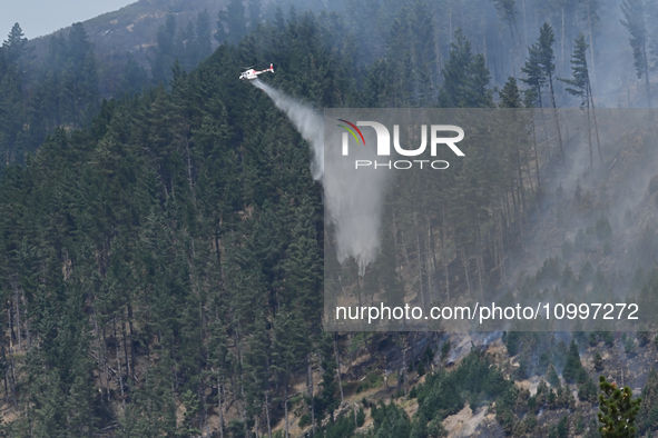 A firefighting helicopter is dropping water to extinguish a wildfire in Port Hills near Christchurch, New Zealand, on February 15, 2024. 