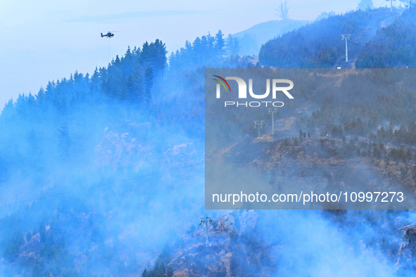 A firefighting helicopter is dropping water to extinguish a wildfire in Port Hills near Christchurch, New Zealand, on February 15, 2024. 