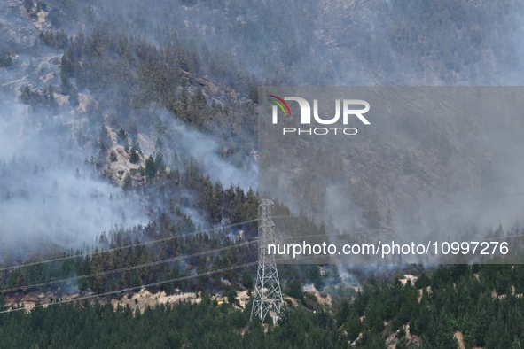 Smoke is rising from a vegetation fire in Port Hills, Canterbury region, New Zealand, on February 15, 2024. 