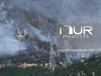 Smoke is rising from a vegetation fire in Port Hills, Canterbury region, New Zealand, on February 15, 2024. (