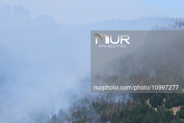 Smoke is rising from a vegetation fire in Port Hills, Canterbury region, New Zealand, on February 15, 2024. 