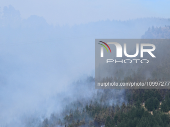 Smoke is rising from a vegetation fire in Port Hills, Canterbury region, New Zealand, on February 15, 2024. (