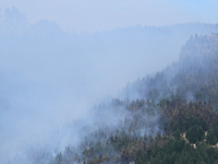 Smoke is rising from a vegetation fire in Port Hills, Canterbury region, New Zealand, on February 15, 2024. (