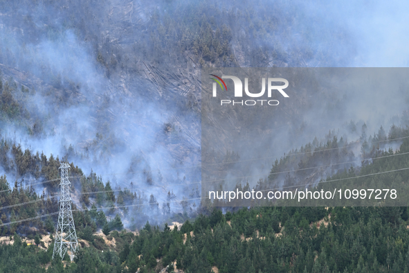 Smoke is rising from a vegetation fire in Port Hills, Canterbury region, New Zealand, on February 15, 2024. 