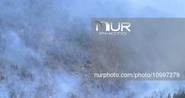 Smoke is rising from a vegetation fire in Port Hills, Canterbury region, New Zealand, on February 15, 2024. 