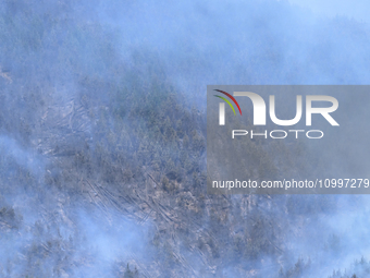 Smoke is rising from a vegetation fire in Port Hills, Canterbury region, New Zealand, on February 15, 2024. (