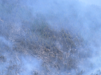 Smoke is rising from a vegetation fire in Port Hills, Canterbury region, New Zealand, on February 15, 2024. (