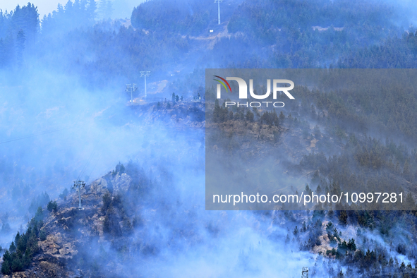 Smoke is rising from a vegetation fire in Port Hills, Canterbury region, New Zealand, on February 15, 2024. 