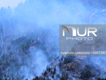 Smoke is rising from a vegetation fire in Port Hills, Canterbury region, New Zealand, on February 15, 2024. (